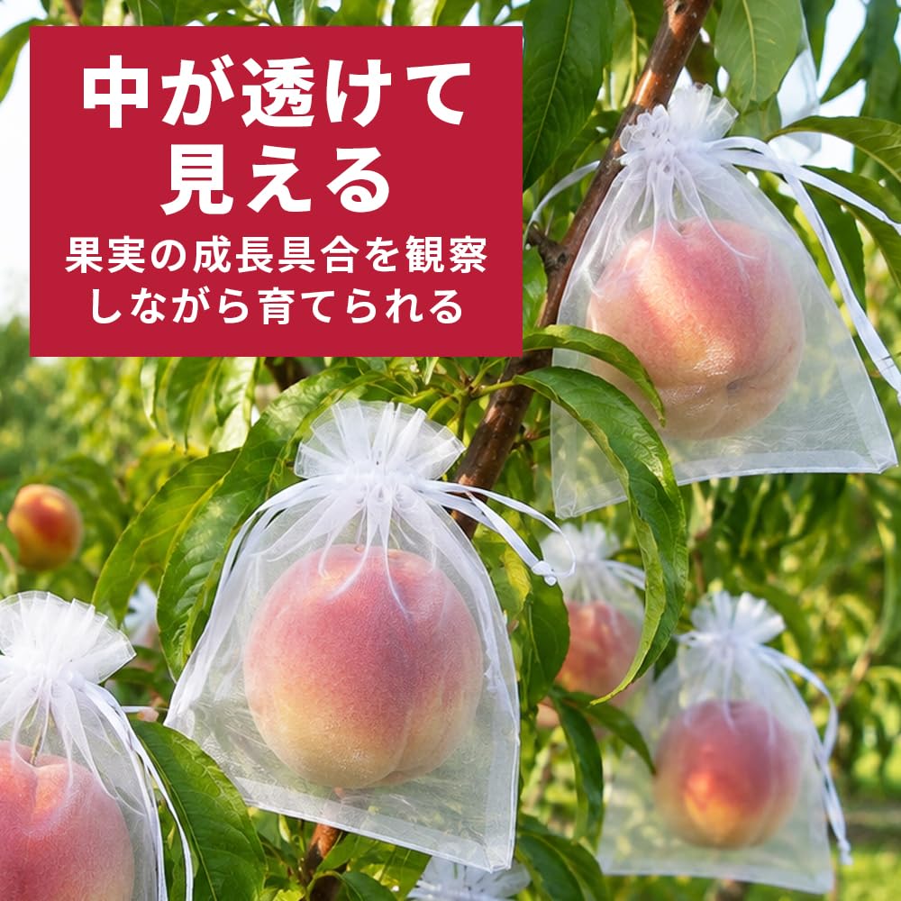 果樹に取り付けた果実保護ネット